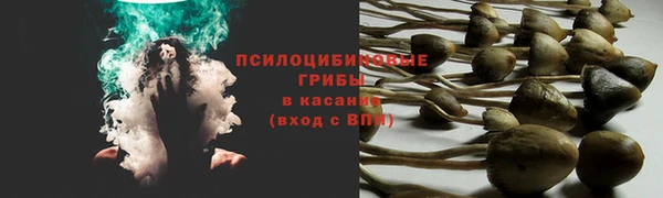 ешки Александровское
