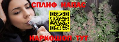 спиды Дубна