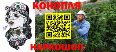 спиды Дубна