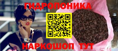 спиды Дубна