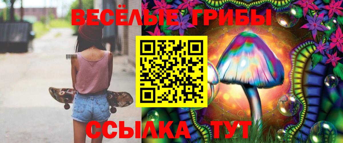 Псилоцибиновые грибы ЛСД Качканар