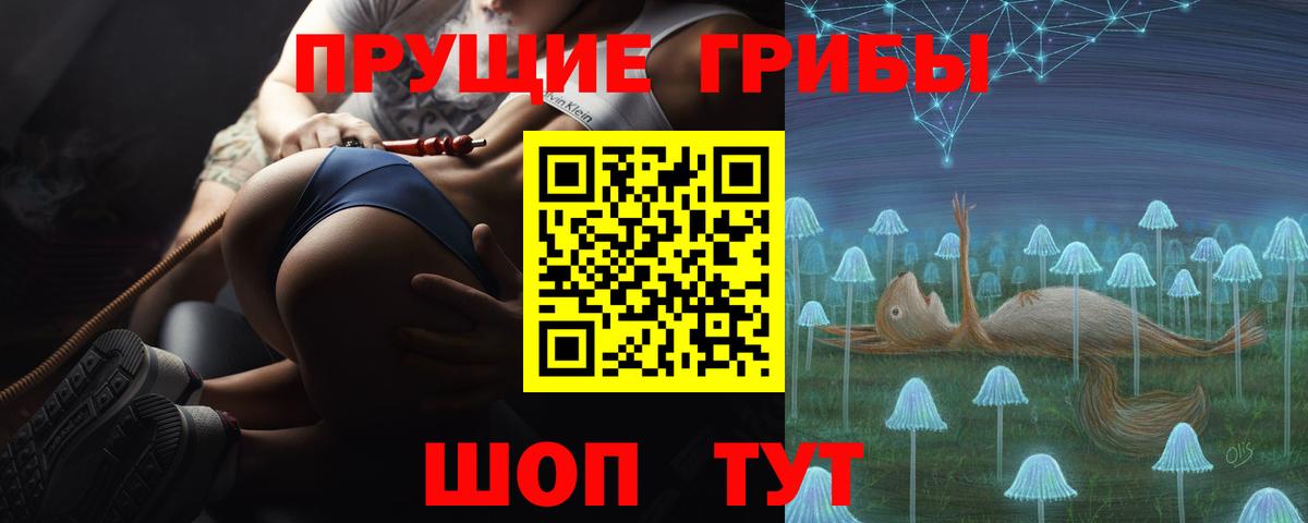 Качканар  Псилоцибиновые грибы прущие грибы  Галлюциногенные грибы GOLDEN TEACHER  Вход с VPN 